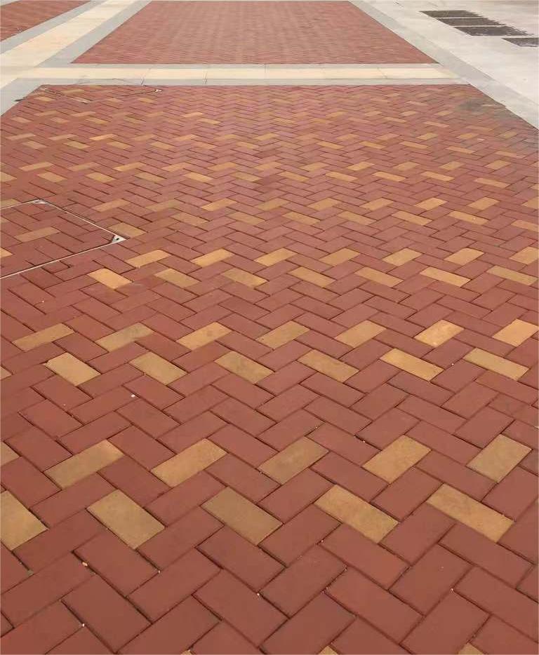 鯡魚方式鋪路.jpg